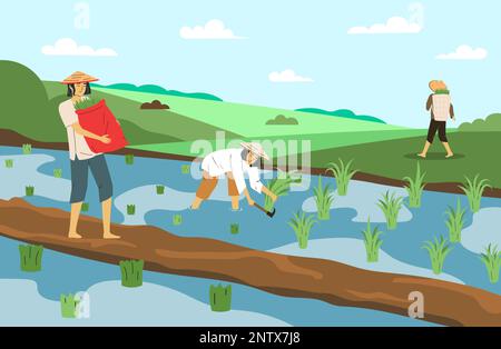Asian farmers in conical hats working on rice field flat vector illustration Stock Vector