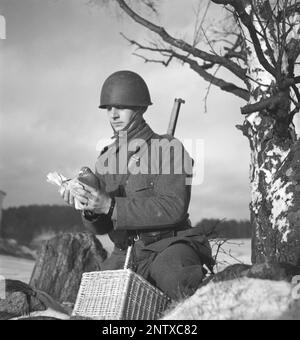 Swedish army during WW2. A soldier is seen holding a pigeon in his hands. War pigeons were used by the swedish military during World War II. The pigeons carried messages from one place to another often a piece of paper in a small metal container attached to it's leg. Homing pigeons were handled and trained by a special unit of swedish military. Homing pigeons played a vital part in the invasion of Normandy as radios could not be used for fear of vital information being intercepted by the enemy. Sweden december 1940. Kristoffersson ref 184-5 Stock Photo