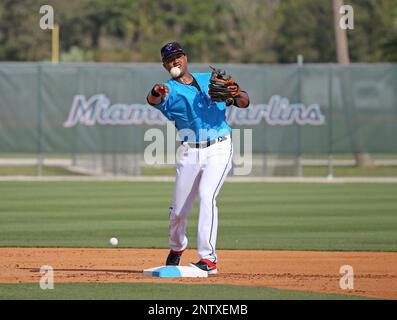 Starlin Castro proving a quick study at third base for Marlins