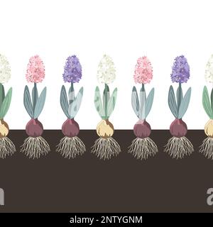 Hyacinth in a sand seamless pattern, botanical vintage style border. Hyacinths with onion, roots, leaves and flowers in the soil. Vector illustration. Stock Vector