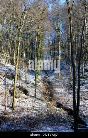 Europe, Luxembourg, Mullerthal, The Mullerthal Trail climbing through the Black Ernz Valley in Winter Stock Photo