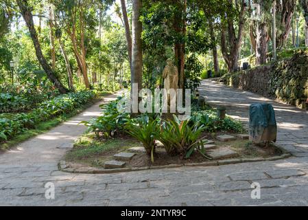 Path among trees in tropical garden in Brazil Stock Photo
