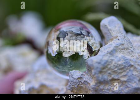 Close-up with a lensball on a sandstone, in the glass ball the sandstone and grass stalks can be seen in reverse. Stock Photo