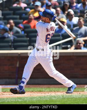 New York Mets infielder Ike Davis (#29) high fives outfielder Jeff