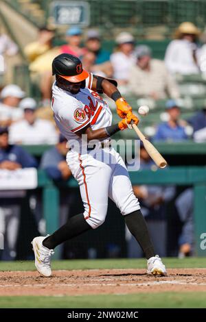 Baltimore Orioles' Adley Rutschman looks on before a baseball game against  the Oakland Athletics, Friday, Sept. 2, 2022, in Baltimore. (AP Photo/Nick  Wass Stock Photo - Alamy