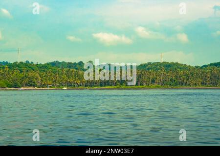 Forest on the sandy beach around Menjangan Island, Bali. Indonesia. Landscape and travel photography. Stock Photo