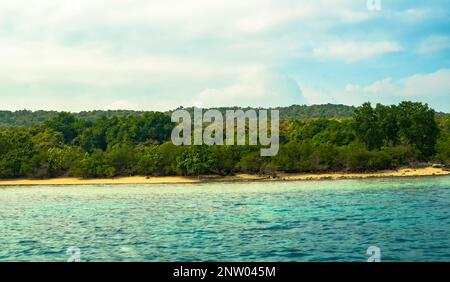 Forest on the sandy beach around Menjangan Island, Bali. Indonesia. Landscape and travel photography. Stock Photo