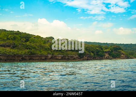 Forest on the sandy beach around Menjangan Island, Bali. Indonesia. Landscape and travel photography. Stock Photo