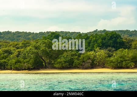 Forest on the sandy beach around Menjangan Island, Bali. Indonesia. Landscape and travel photography. Stock Photo