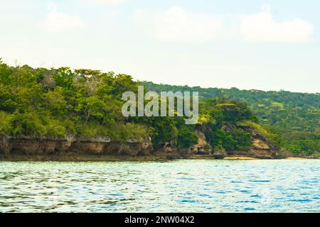 Forest on the sandy beach around Menjangan Island, Bali. Indonesia. Landscape and travel photography. Stock Photo