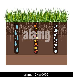 Lawn care - aeration and scarification. Labels by stage-during. Intake of substances-water, oxygen, and nutrients to feed the grass and soil. Vector Stock Vector