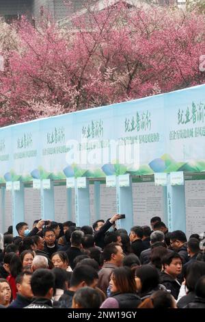 Chongqing, China - February 27, 2023 - Job Seekers Check Job Postings ...