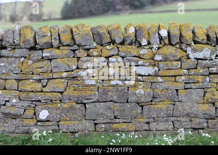 Old dry stone wall on a field boundary tinged with lichen Stock Photo