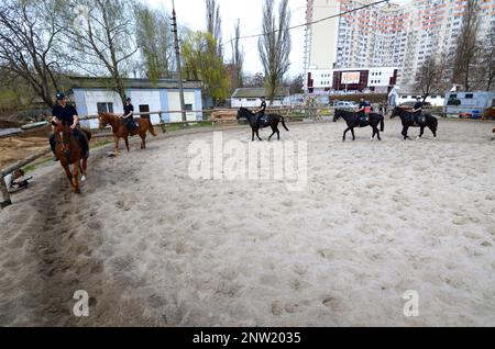 Mounted police squad policemen riding horses at the manege. Kyiv, Ukraine Stock Photo