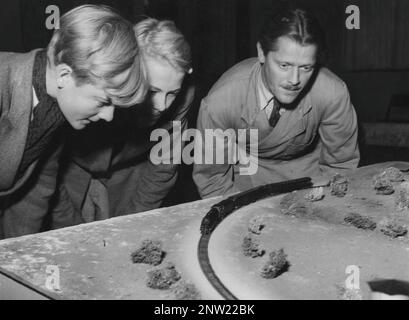 Train model in the 1950s. Two teenage boys and a man is watching when the model train passes them on it's way on the made-up landscape on a table in front of them. At this time a common hobby. Sweden 1950s. Stock Photo