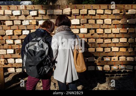Couple reading wooden tablets with prayers at Sanctuary of  Meiji Jingu, Tokyo, Japan Stock Photo