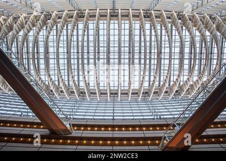 Detail, roof of Tokyo International Forum, Congress center by architect Rafael Vinoly, Tokyo, Japan Stock Photo