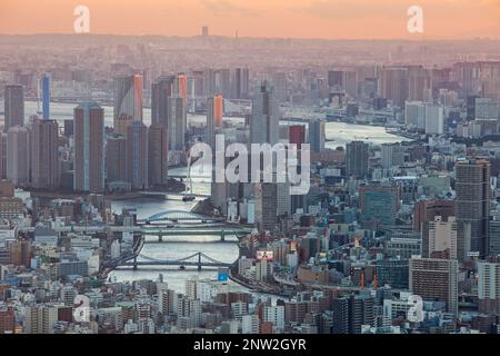 View of Sumidagawa river, Tokyo, Japan Stock Photo