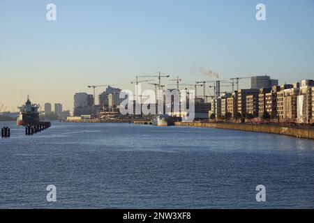 Hamburg, Germany. 06th Feb, 2023. Cranes stand on the construction sites of Hafencity on the banks of the Norderelbe. Credit: Soeren Stache/dpa/Alamy Live News Stock Photo