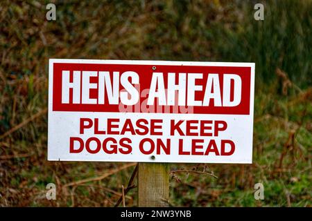 Road Sign HENS AHEAD PLEASE KEEP DOGS ON LEAD Stock Photo