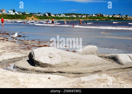 A shark sand sculpture is not as scary on a Maine beach near the shoreline of the ocean Stock Photo