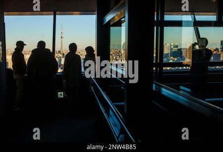 View of skyline from a skyscraper, in background Skytree tower, Tokyo, Japan Stock Photo