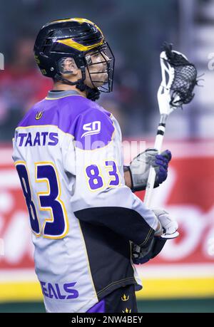 San Diego Seals player Austin Staats, rt, battles with Calgary Roughnecks  player Shane Simpson during NLL lacrosse action in Calgary, Alta., on Sat.,  Feb. 29, 2020. (Larry MacDougal via AP Stock Photo - Alamy