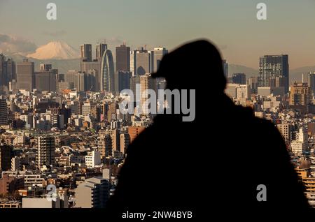 Skyscrapers of Shinjuku and Mount Fuji, Tokyo, Japan Stock Photo