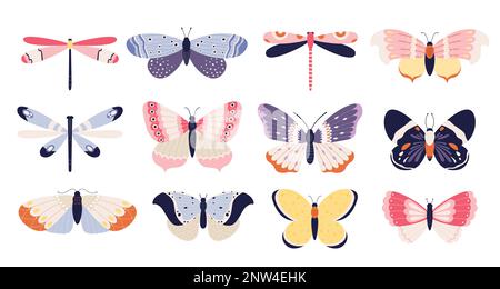 Cute butterflies collection, insects with colored pattern wings Stock Vector