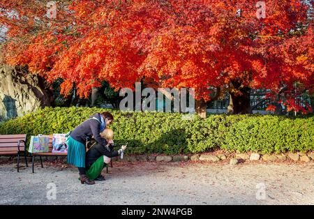 Selfie, in Zojoji Temple, Tokyo, Japan Stock Photo
