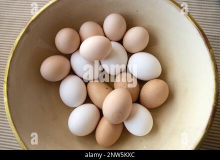 variety of different colored farm fresh eggs in a bowl Stock Photo