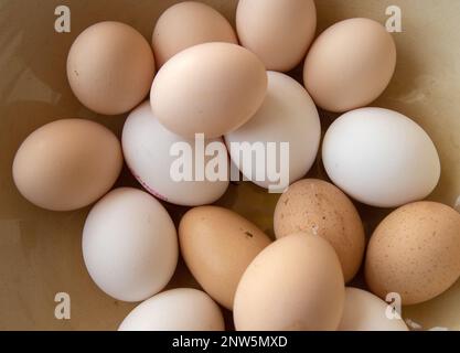 variety of different colored farm fresh eggs in a bowl Stock Photo