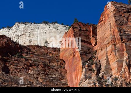 Layers of steep rugged cliffs in bright orange, brown and vibrant white against a clear blue sky in the morning sunshine at Zion National Park, Utah. Stock Photo