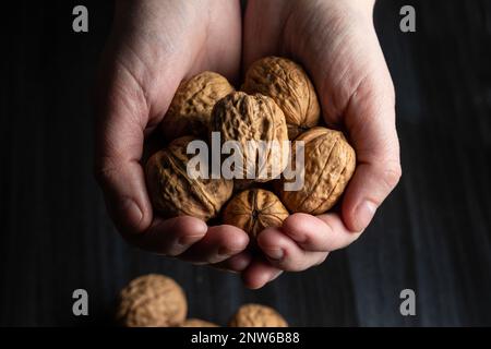 A handful of walnuts on the open woman hands, dark background Stock Photo