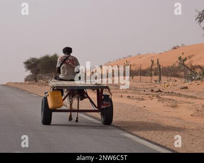 A man rides a cart pulled by a donkey in the side of a Senegal road Stock Photo