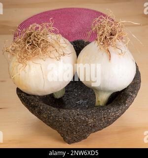 Two whole raw white onions in a molcajete, a stone tool used for grinding, seen from above. Stock Photo