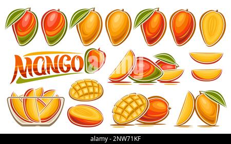 Vector Mango Set, banner with collection of cut out illustrations fruit still life composition with green leaves, ripe juicy chopped mango in glass di Stock Vector