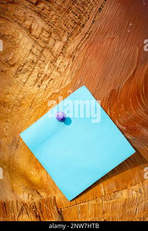 a vertical single blue square paper note with purple mapping pin on orange palm tree bark with empty free space for template or blank copy area Stock Photo