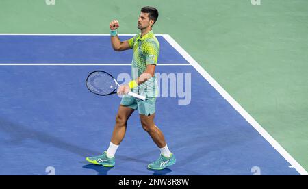 Dubai, United Arab Emirates. February 28, 2023, Dubai, United Arab Emirates. February 28, 2023, Novak Djokovic of Serbia celebrates after winning a point against Tomas Machac of Czech Republic during their ATP 500 Dubai Duty Free Tennis Championships 2023 R32 match on February 28, 2023 in Dubai, United Arab Emirates. Photo by Victor Fraile / Power Sport Images Stock Photo