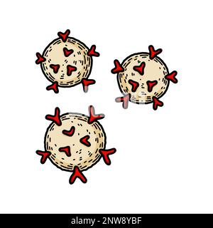 T-killer cells isolated on white background. Hand drawn scientific microbiology vector illustration in sketch style. Adaptive immune system Stock Vector