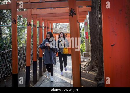 Women walking Amongst Tori Gates At Hanazono Inari Shrine, in Ueno Park, Tokyo Stock Photo