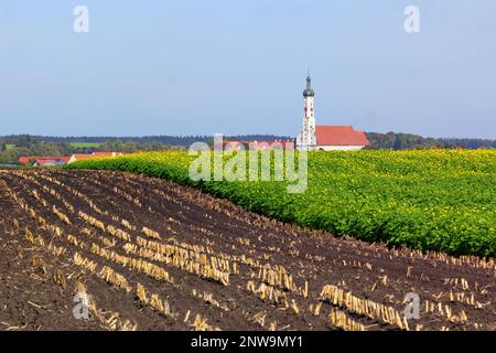 Countryside in Bavaria in Germany showing a traditional onion tower and harvested field Stock Photo