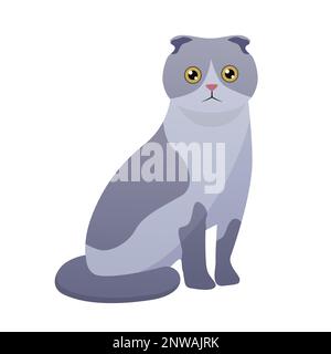 British shorthair cat. Domestic adorable pet, fluffy family friend vector cartoon illustration Stock Vector
