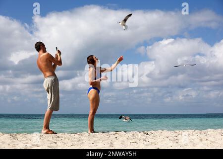Tourists feed the seagulls on ocean beach. Man and woman having fun on tourist resort Stock Photo