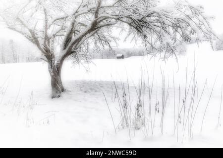 PHOTOGRAPHIC ART: Winterscene near Bad Toelz, Oberbayern, Germany Stock Photo
