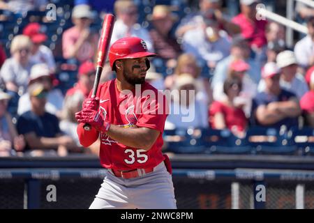 Miami Marlins' Jean Segura grounds out during the fifth inning of a  baseball game against the St. Louis Cardinals Monday, July 17, 2023, in St.  Louis. (AP Photo/Jeff Roberson Stock Photo - Alamy