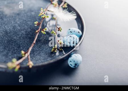 Easter dish decorated with blue eggs, feathers and spring branches. Ceramic plate on grey background. Space. Holiday mockup Stock Photo