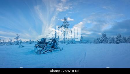 Scenic very frozen snowy young pine tree forest under winter skies, snowmobile covered by hoarfrost. Winter landscape In Northern Sweden, Vasterbotten Stock Photo