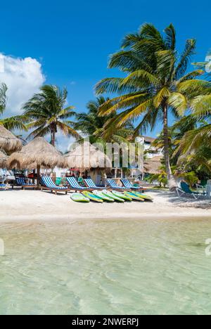 Mahahual, Quintana Roo, Mexico, , beach club with long chairs and parasols with palm trees on Mahahual beach Stock Photo