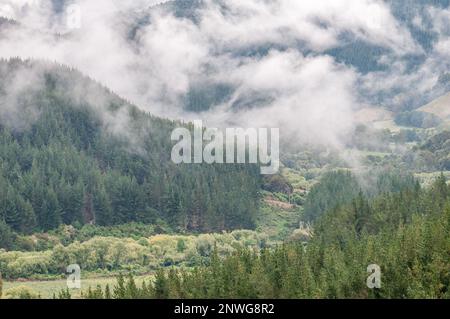Foggy and cloudy evening at Takaka hill, South Island, New Zealand Stock Photo